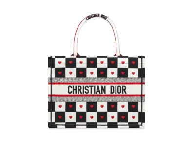 Dior Book Tote Small Amur Collection