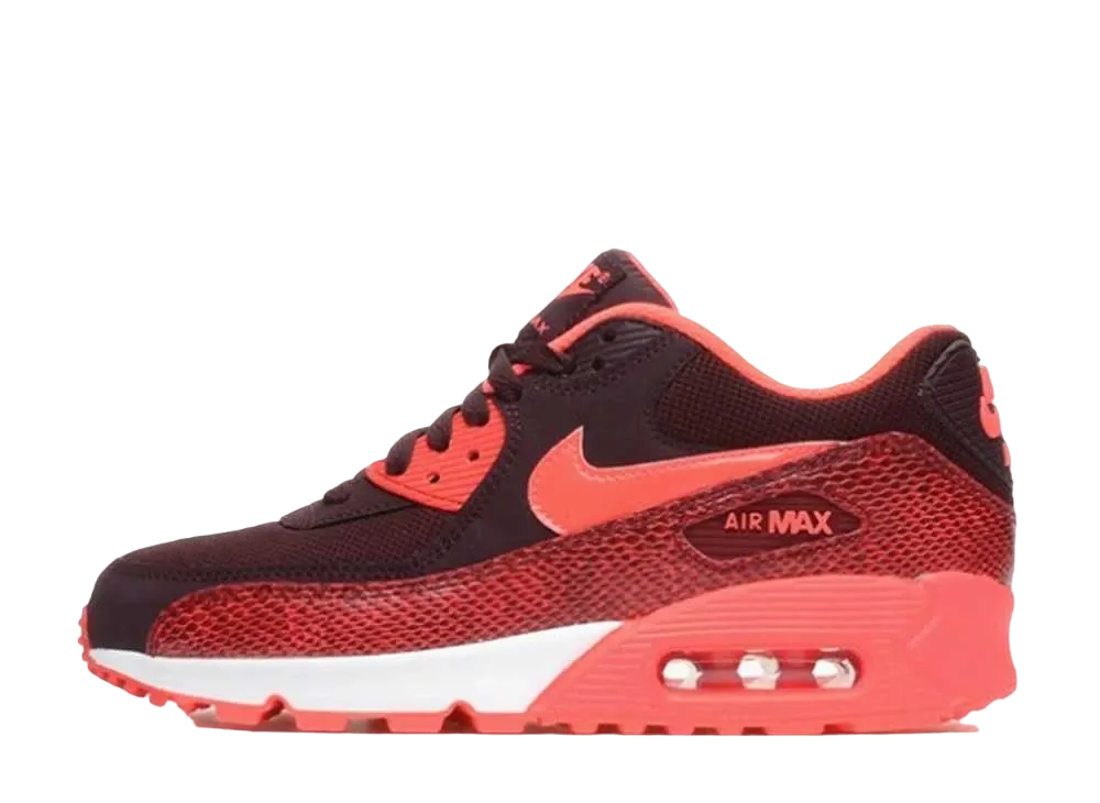 ナイキ ウィメンズ エアマックス90 "アイコン"