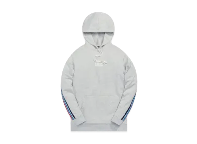 Kith x adidas Terrex Hoodie "Light Heather Grey"