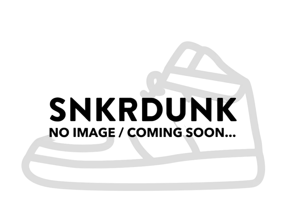 Stussy × Nike Dunk Low World Tour "Black"