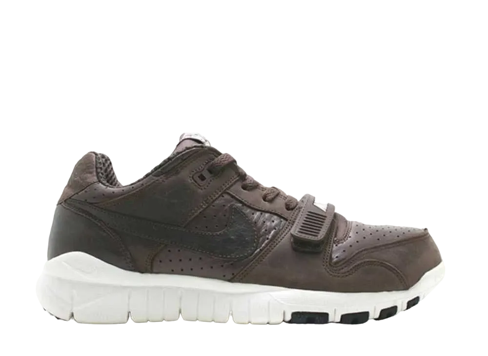 ステューシー × ナイキ ダンク ロー ワールド ツアー "バロック ブラウン"