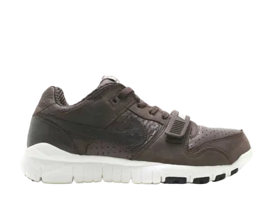 ステューシー × ナイキ ダンク ロー ワールド ツアー "バロック ブラウン"