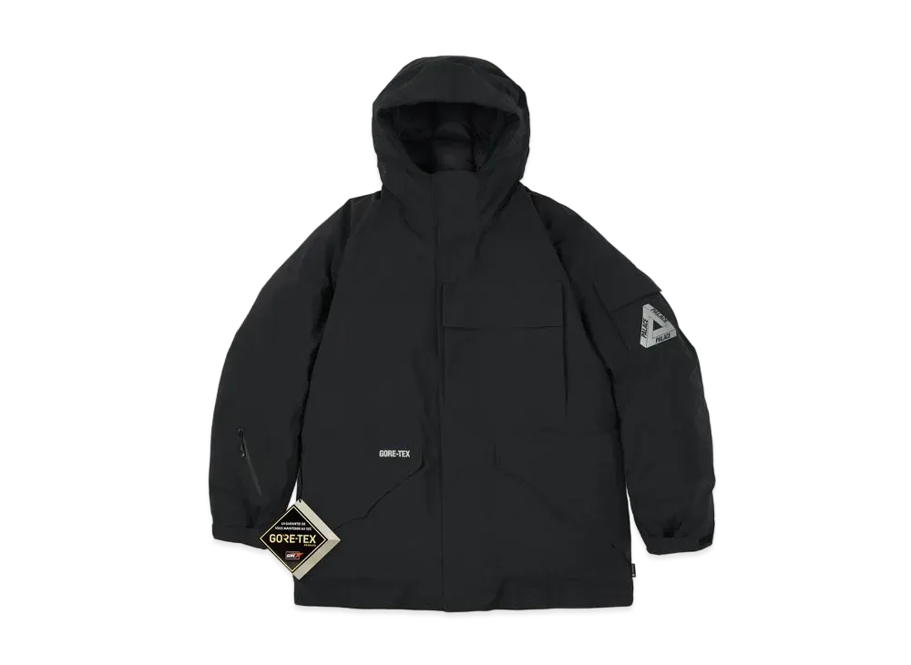 PALACE GORE-TEX ARCTIC CARGO PARKA "Black"