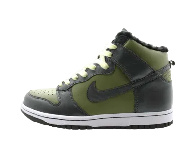 Nike Women's Dunk High "Pilgrim/Dark Army Wht"