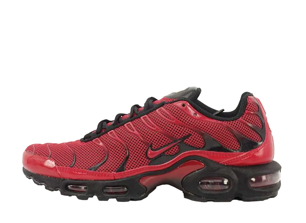 Nike Air Max Plus "Love/Hate"