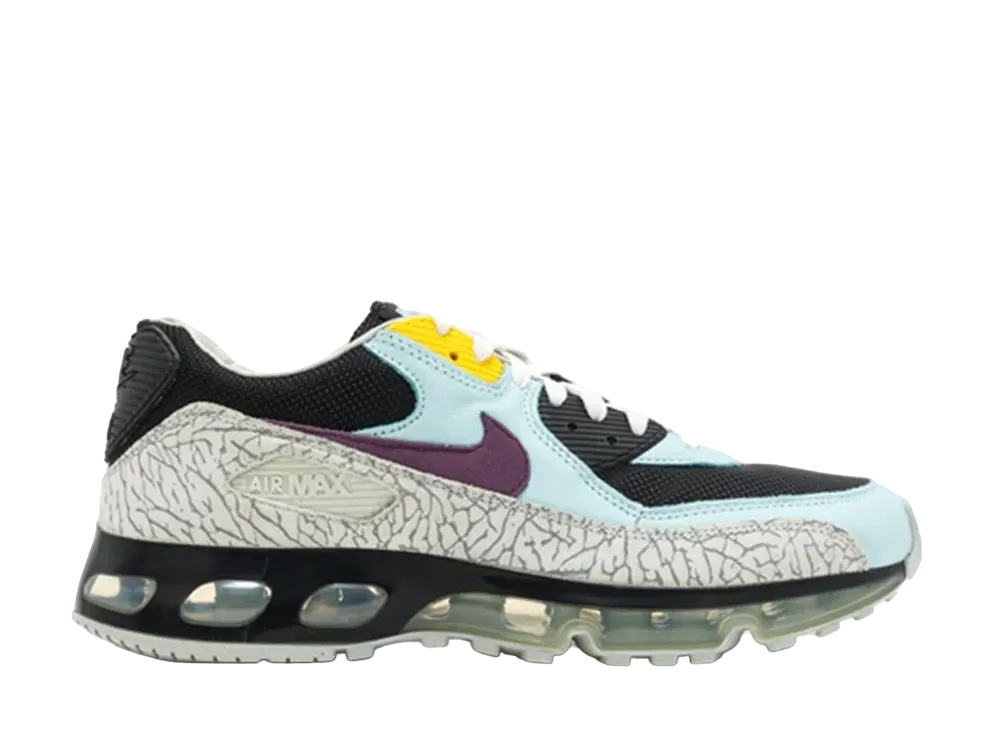 ナイキ エアマックス 90 360 "ワンタイムオンリー"