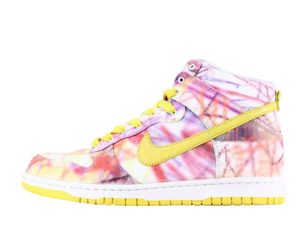 ナイキ ダンク ハイ プレミアム "バック トゥ スクール"