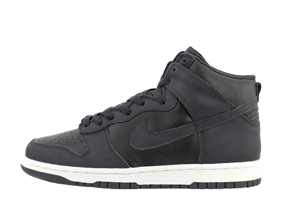 Nike Dunk High LE 