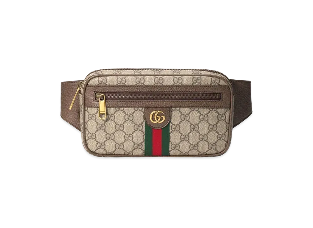 GUCCI Ophidia GG Belt Bag