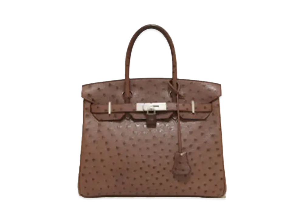 Hermes Birkin Ostrich "Chocolate/Silver"