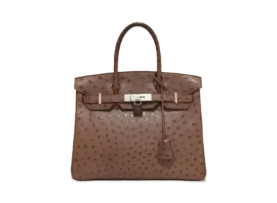 Hermes Birkin Ostrich "Chocolate/Silver"