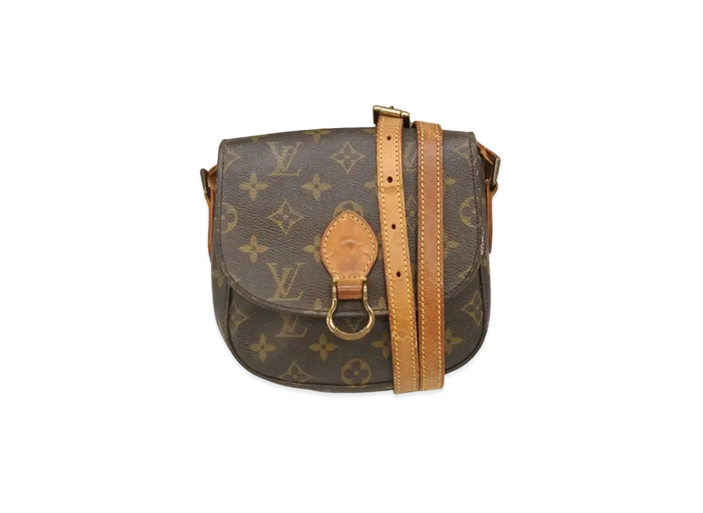 Louis Vuitton Monogram Mini Saint Cloud "Brown"
