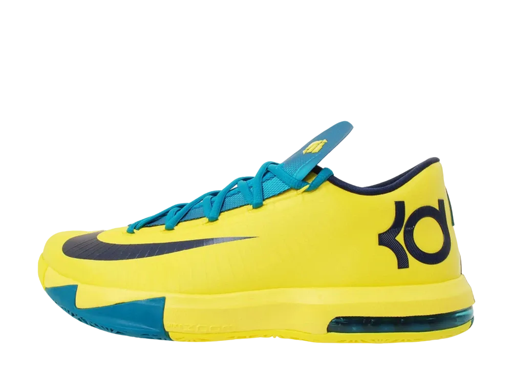 ナイキ KD 6 "シート プレザント"