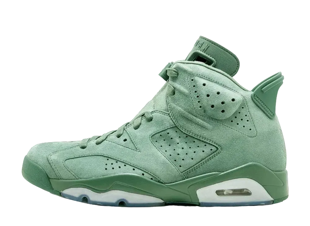 Nike Air Jordan 6 Retro "Macklemore Cactus"
