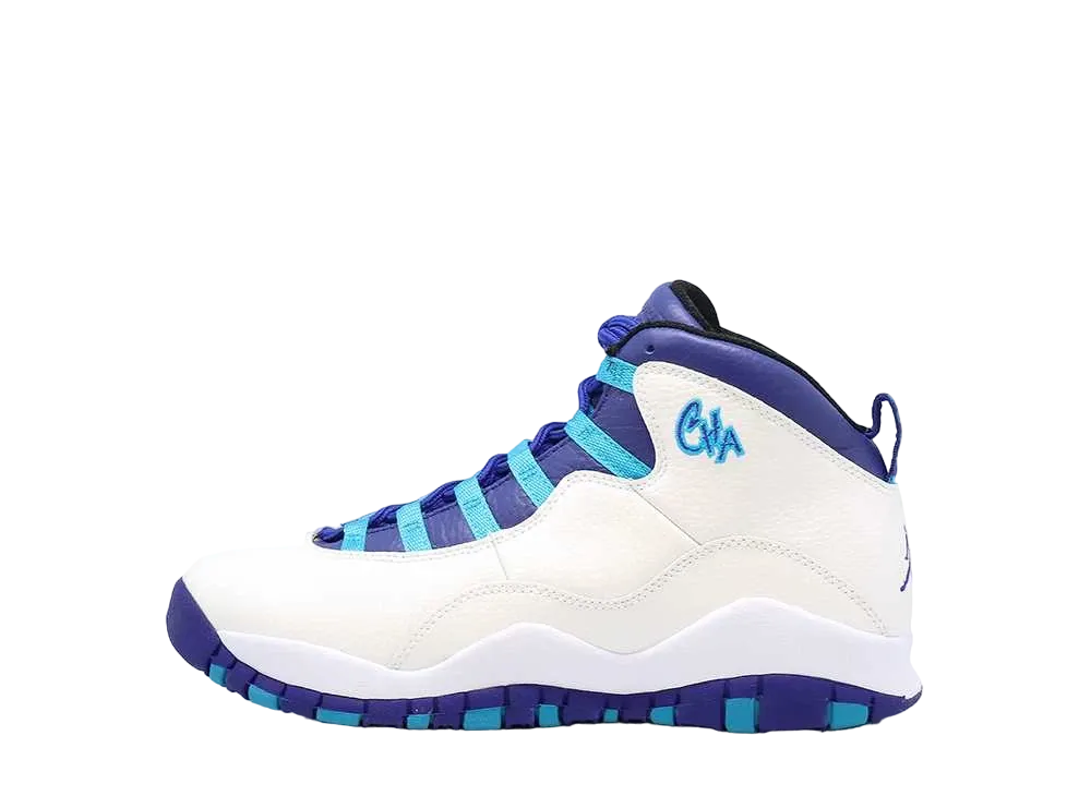 ナイキ GS エアジョーダン10 レトロ "シャーロット" (2016)