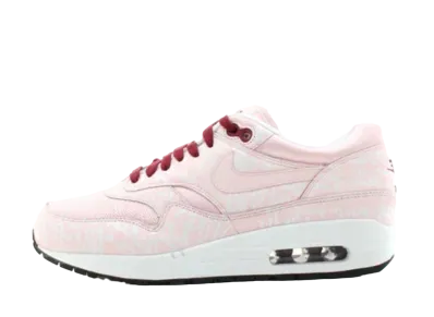 Nike Air Max 1 "Powerwall Pink" (2006)