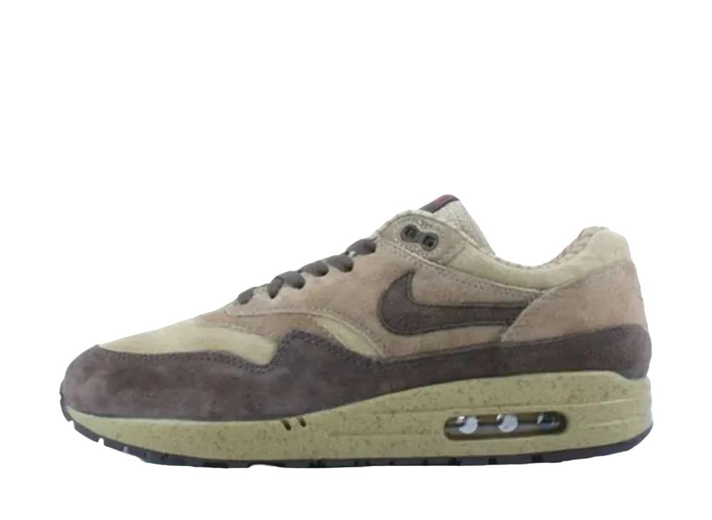 ナイキ エアマックス1 "シマシマ"