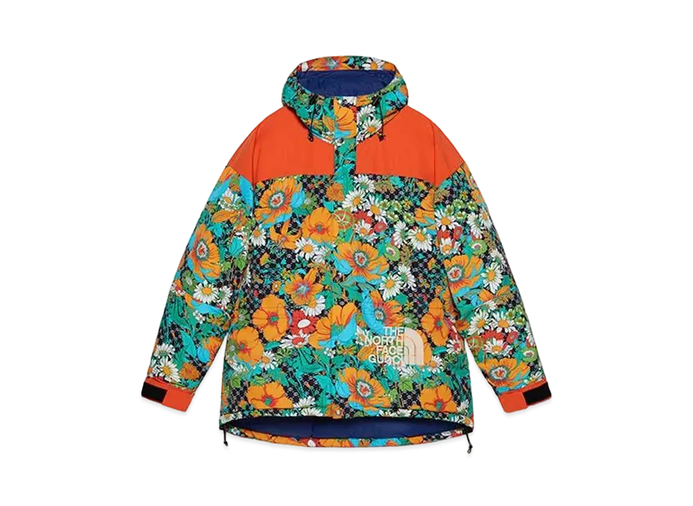 Gucci x The North Face 96 MOUNTAIN GUIDE DOWN JACKET "Multi"