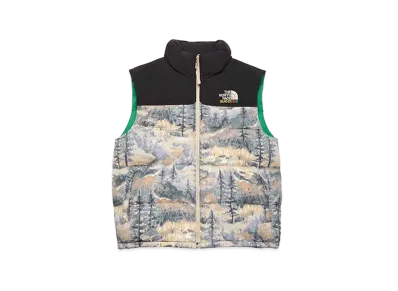 Gucci x The North Face 92 NUPTSE VEST "Multi"