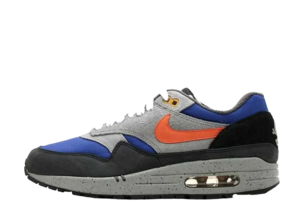 ナイキ エアマックス1 スカルズ パック "ロイヤル"