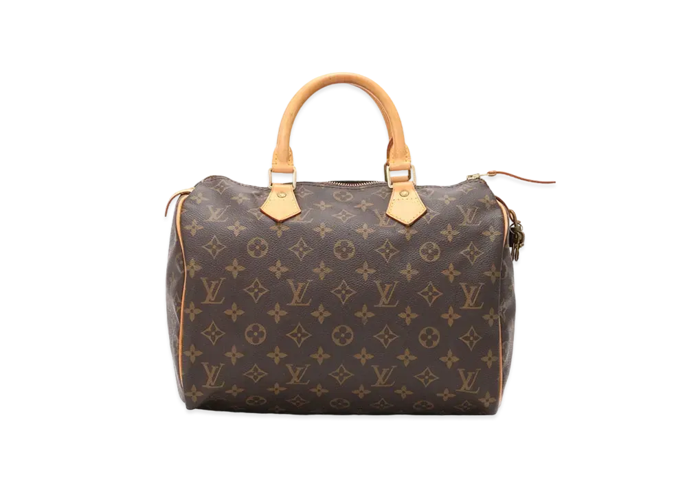 Louis Vuitton Speedy 30 Monogram