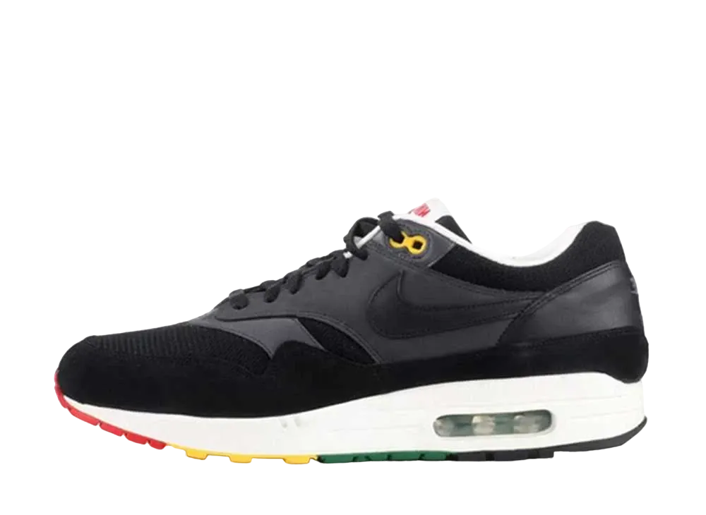 ナイキ エアマックス1 "ラスタ"