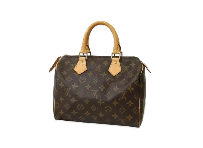 Louis Vuitton Speedy 25 Monogram