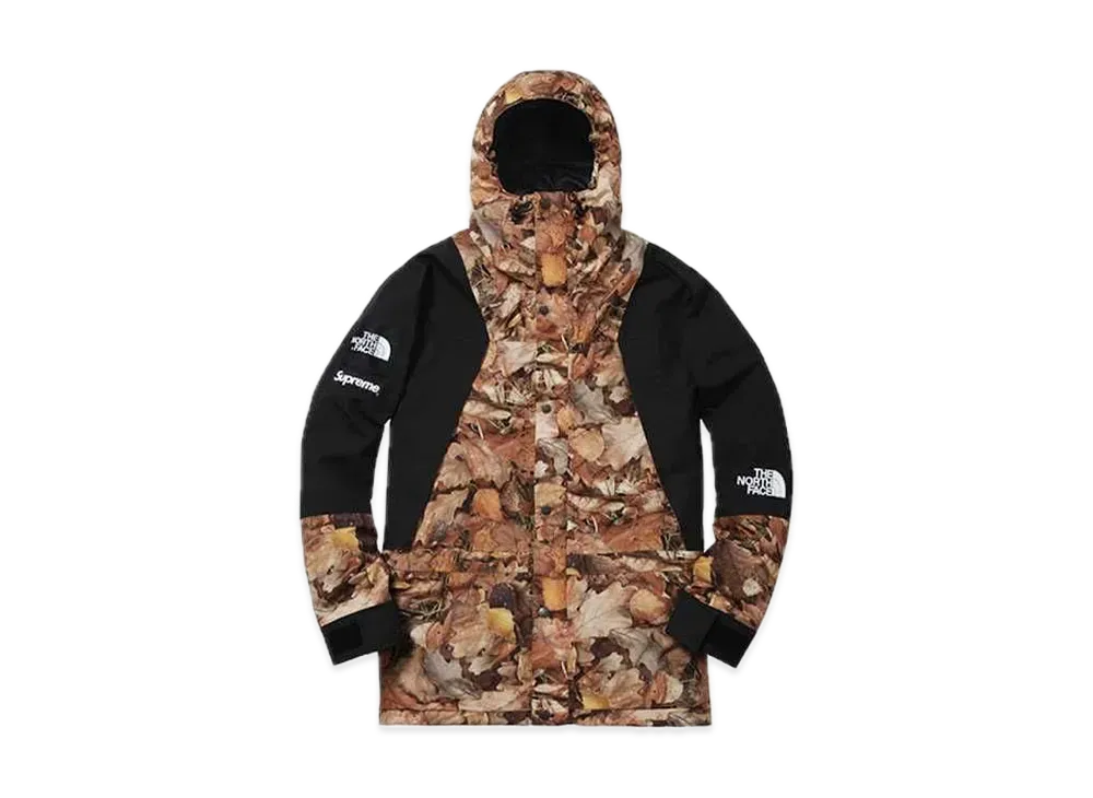 Supreme x The North Face Leaves Mountain Light Jacket "Leaves"