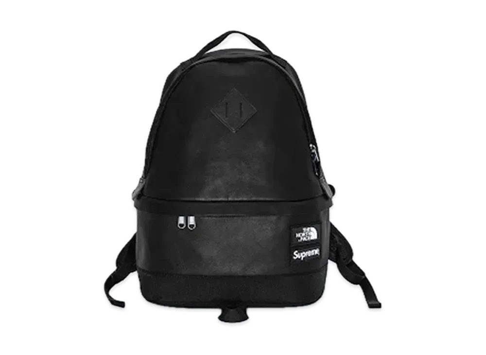 Supreme x The North Face Leather Day Pack 