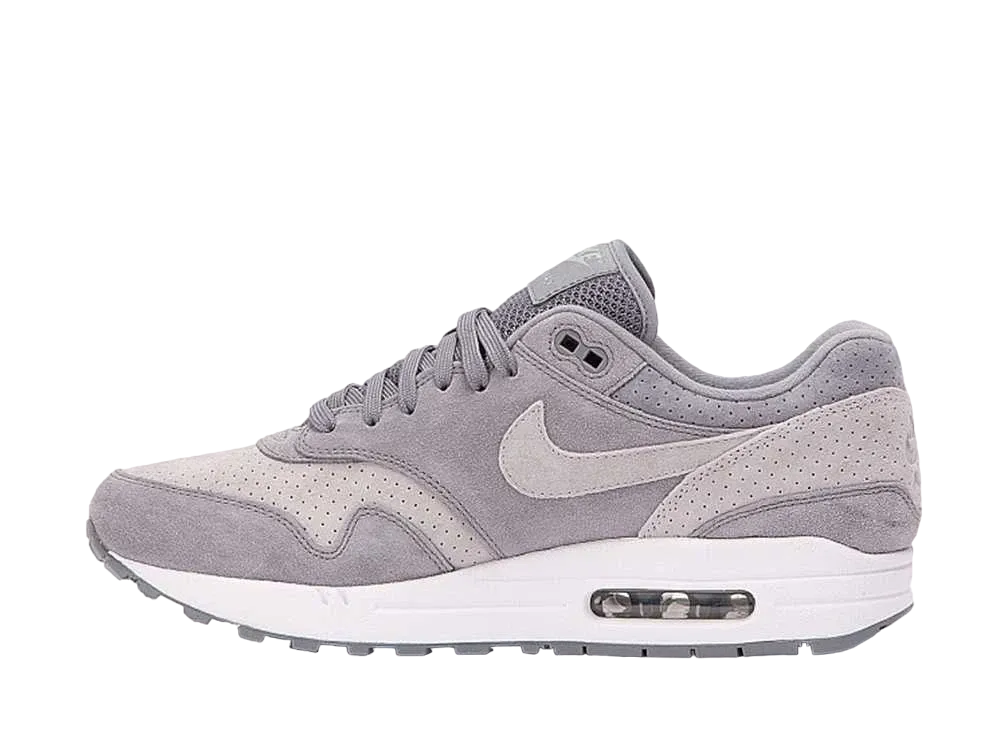 Nike Air Max 1 "Cool Grey/Wolf Grey"
