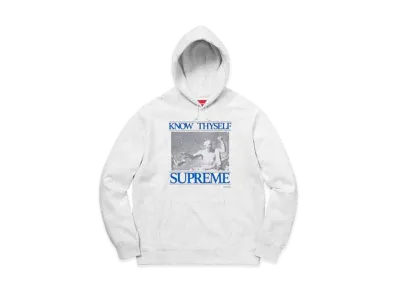 Supreme Know Thyself Hooded Sweatshirt "Ash Grey"
