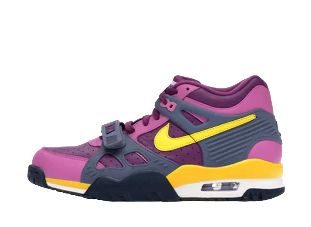 ナイキ エア トレーナー 3 "バイオテック" (2020)