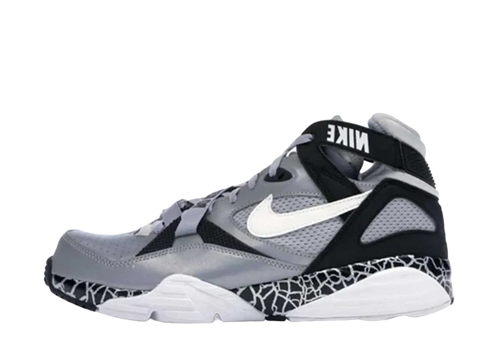 ナイキ エア トレイナー マックス 91 "ボー ノーズ レイダース"