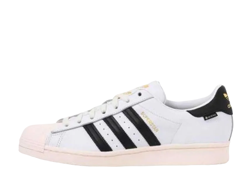 コア様ホワイトゴースト まとめ売り8株 40cm 2025年最新 コア様ホワイトゴースト まとめ売り8株 40cm 2025年最新