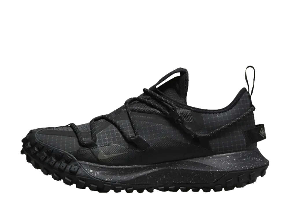 Nike ACG Mountain Fly Low GORE-TEX SE "Black"