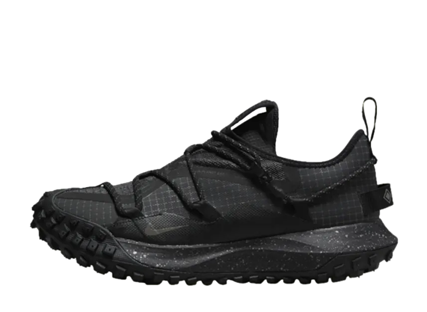 ナイキ ACG マウンテンフライ ロー GTX SE "ブラック"