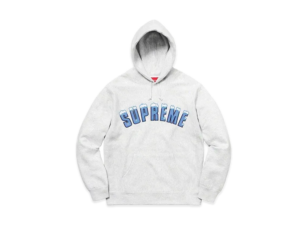 Supreme Icy Arc Hooded Sweatshirt 
