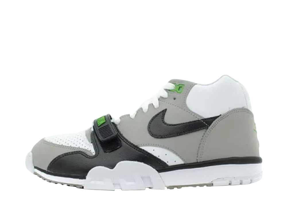 ナイキ エア トレーナー 1 "クロロフィル" (2012)