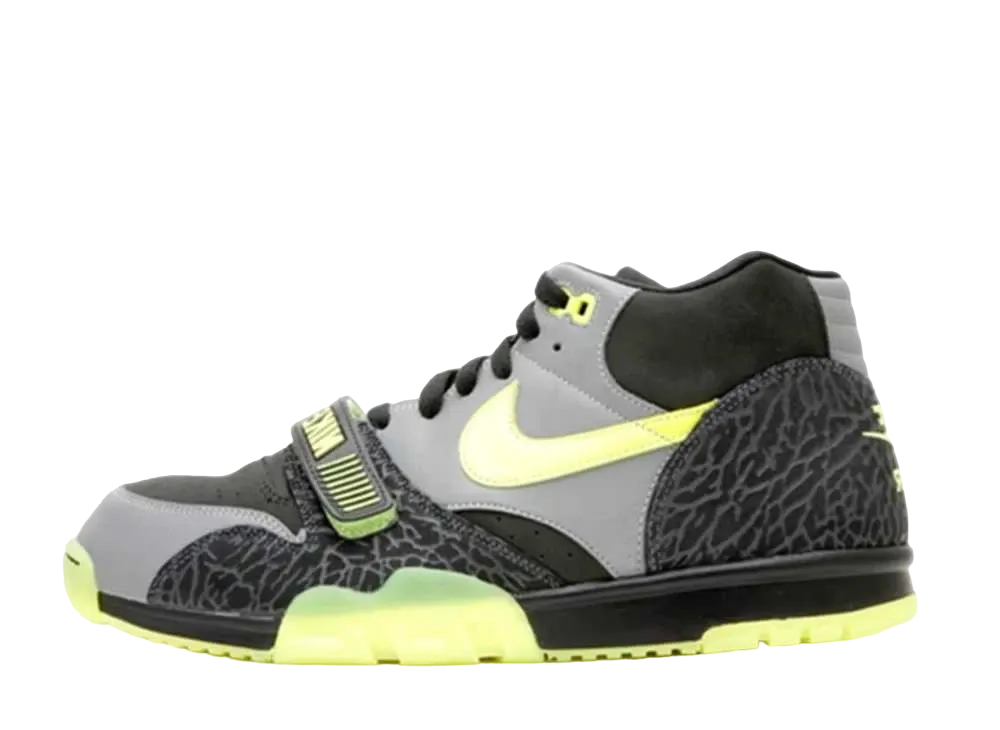 ナイキ エア トレーナー 1 "112 パック"