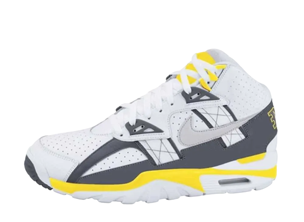 ナイキ エア トレーナー SC ハイ "ホワイト グレー レモン"