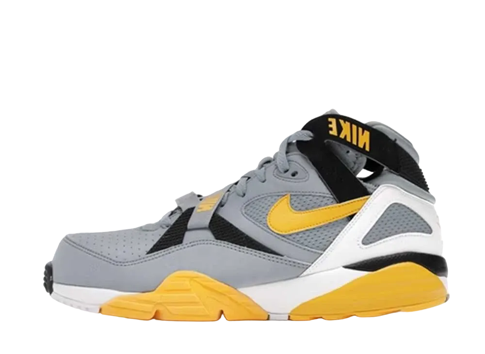 ナイキ エア トレーナー マックス 91 "グレー ストーン ミディアム イエロー" (2010)