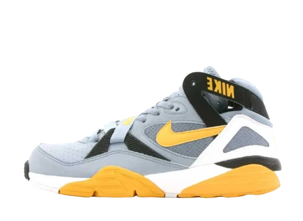 ナイキ エア トレーナー マックス 91 "グレー ストーン ミディアム イエロー" (2004)