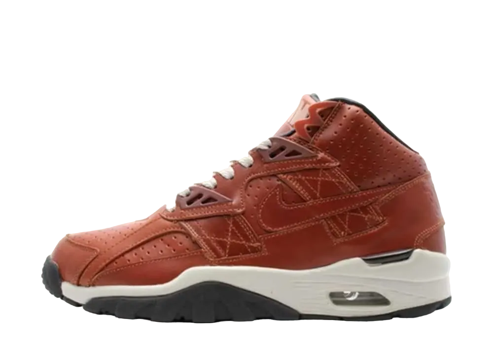 ナイキ エア トレーナー SC ハイ "カリー"