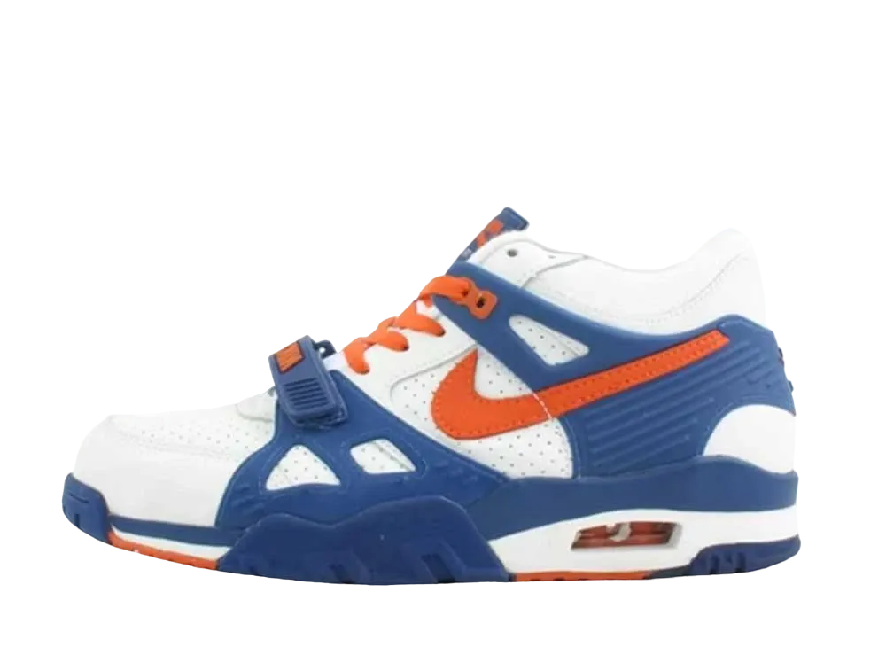 ナイキ エア トレーナー 3 "ニックス"