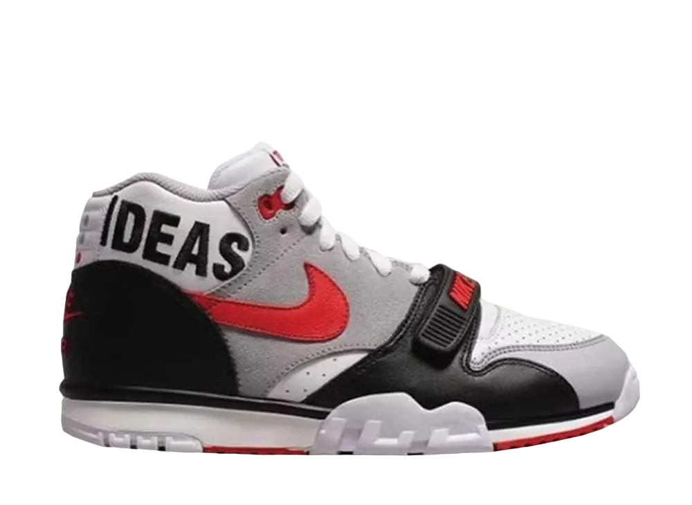 テッド×ポートランド × ナイキ エア トレーナー 1