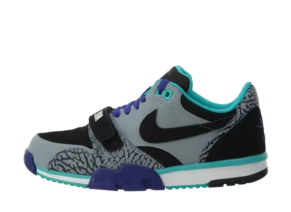 ナイキ エア トレーナー 1 ロー St "ライト グレー/ブラック ダーク コンコード ハイパー"