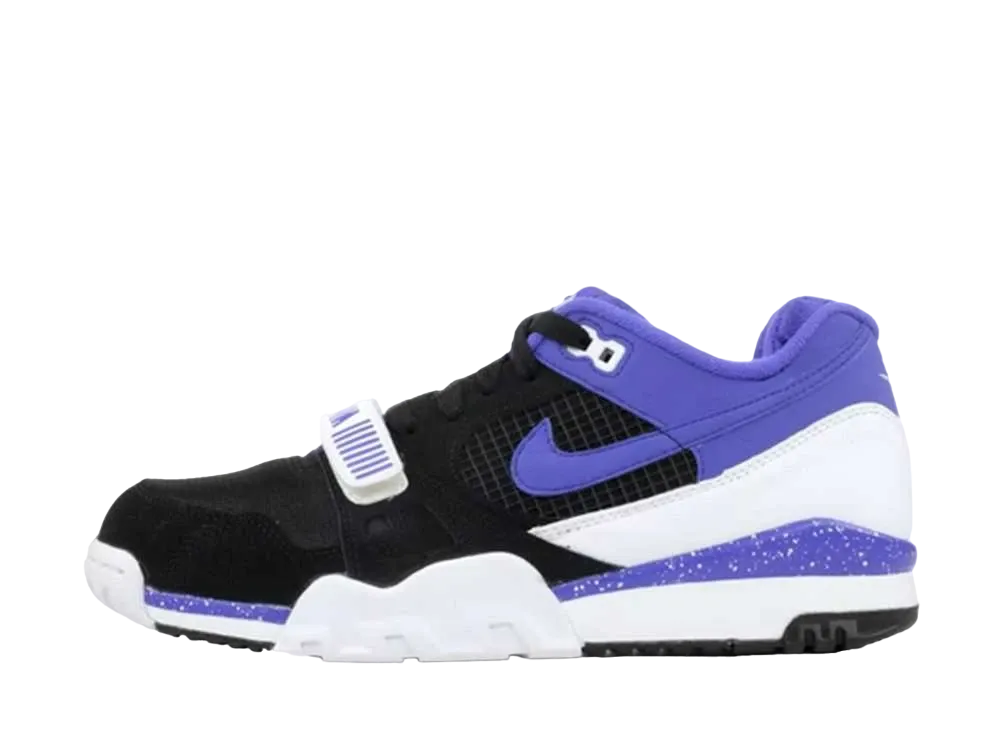 ナイキ トレイナー 2 プレミアム QS "ブラック ペルシアン バイオレット"
