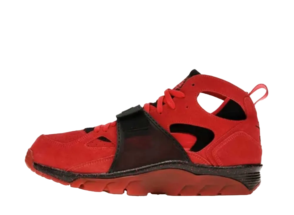 ナイキ エア トレーナー ハラチ "ラブ ヘイト"