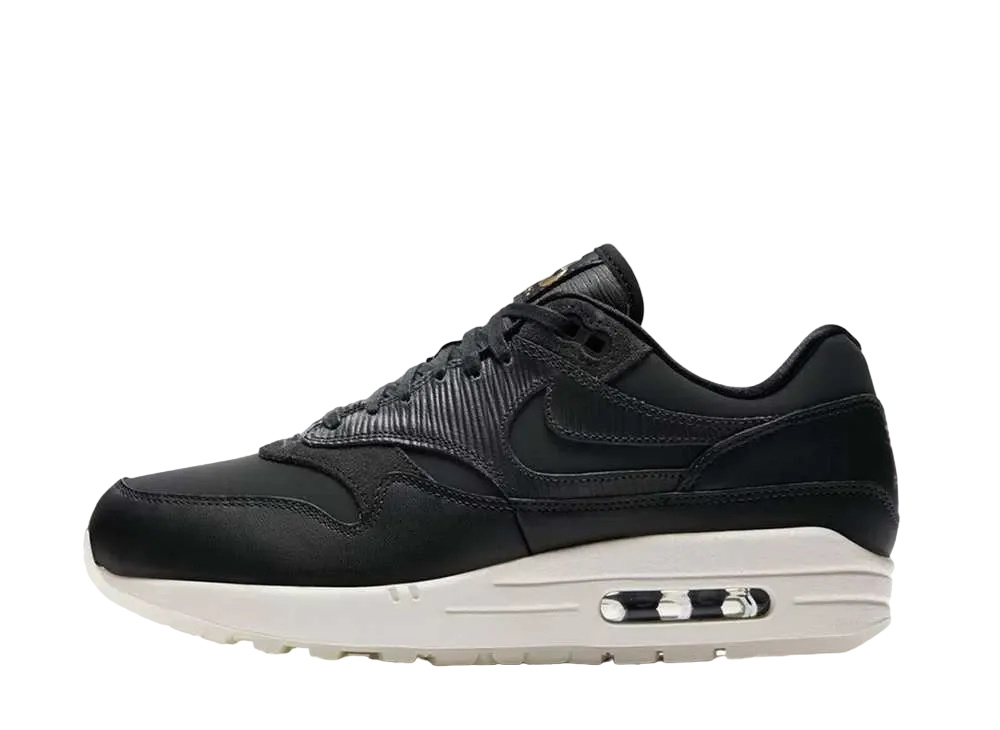 Nike Women's Air Max 1 "Anthracite"