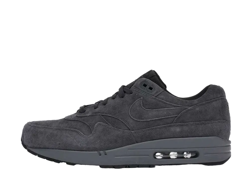 ナイキ エアマックス1 "アンスラサイト"